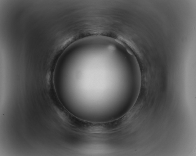 X0000088170066200705221630