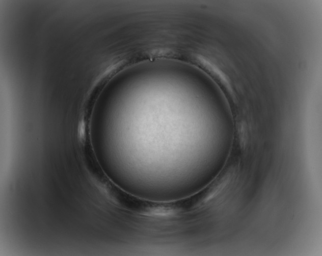 X0000088170067200705221630