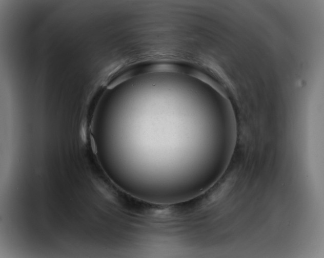 X0000088170068200705221630