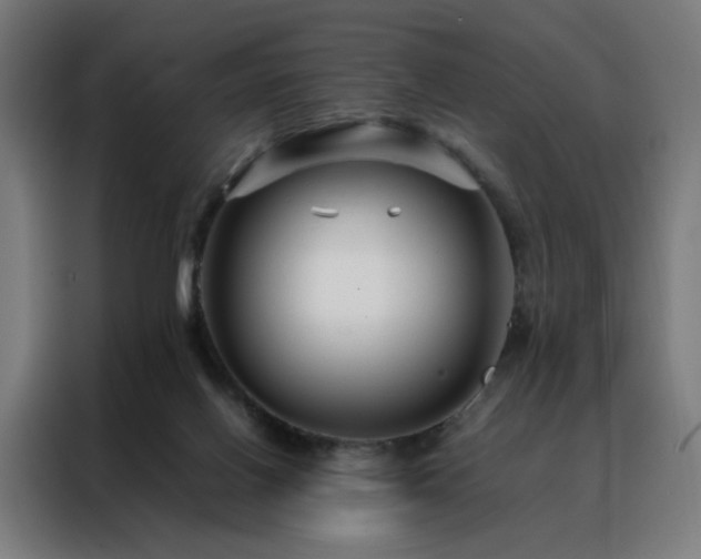 X0000088170070200705221630