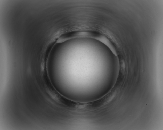 X0000088170072200705221630