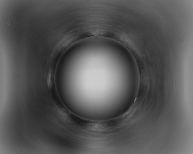 X0000088170074200705221630