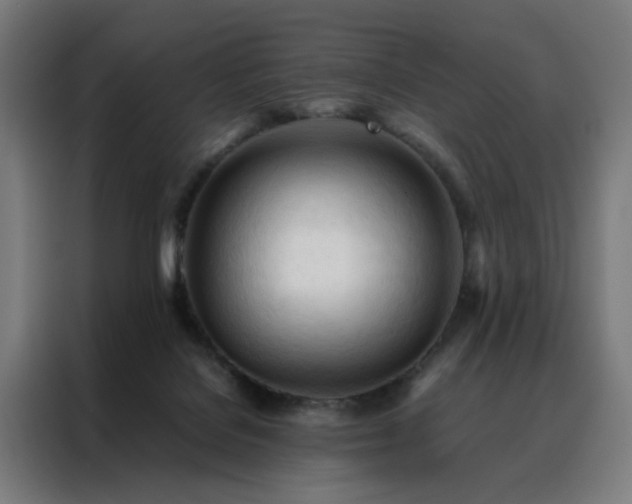 X0000088170076200705221630