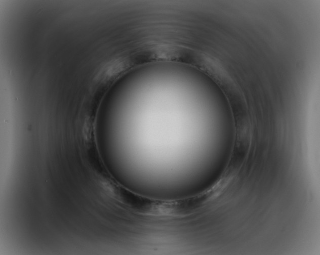 X0000088170078200705221630