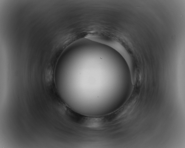 X0000088170081200705221630