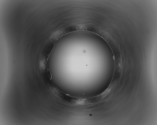 X0000088170090200705221631