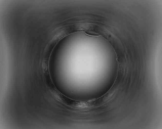 X0000088170091200705221631