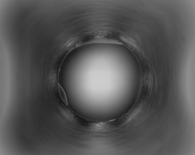 X0000088170092200705221631