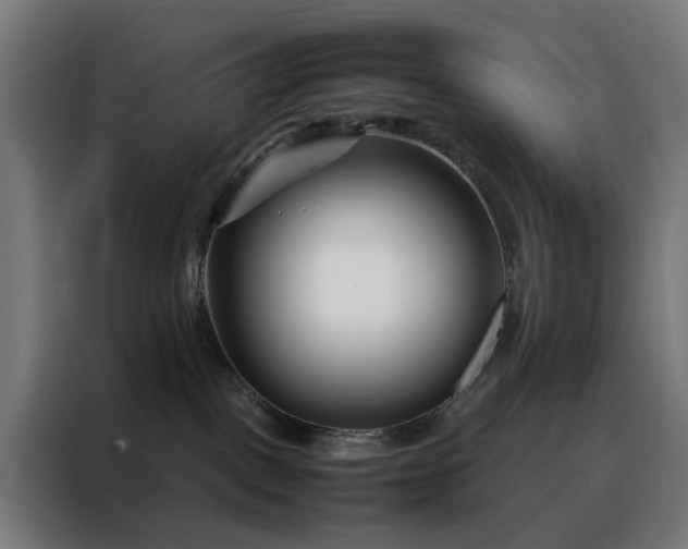 X0000088170093200705221631