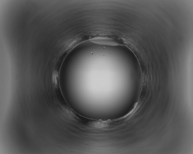 X0000088170094200705221631