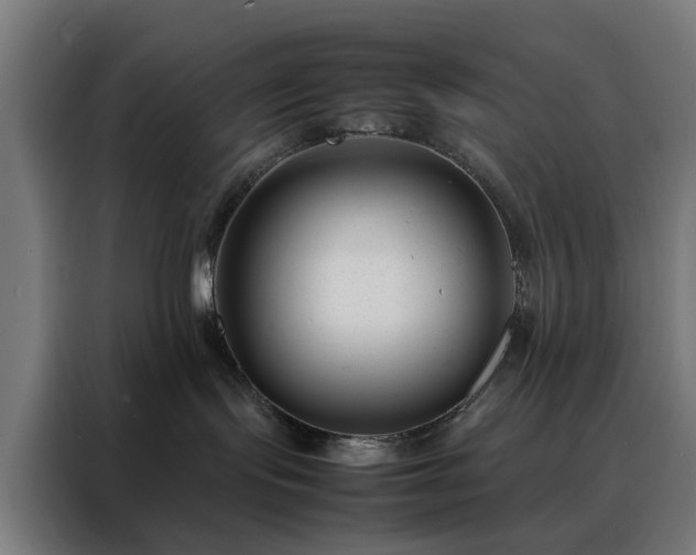 X0000088170095200705221631