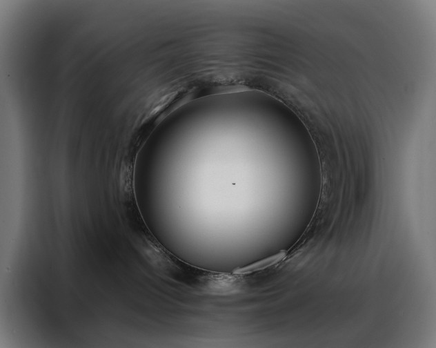 X0000088170096200705221631