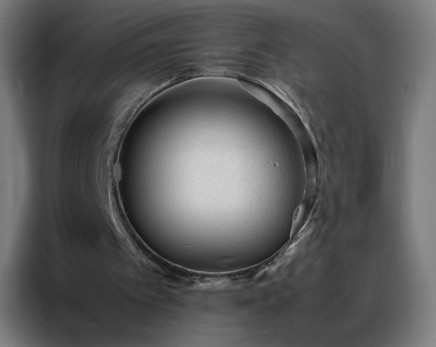 X0000088170097200705221630