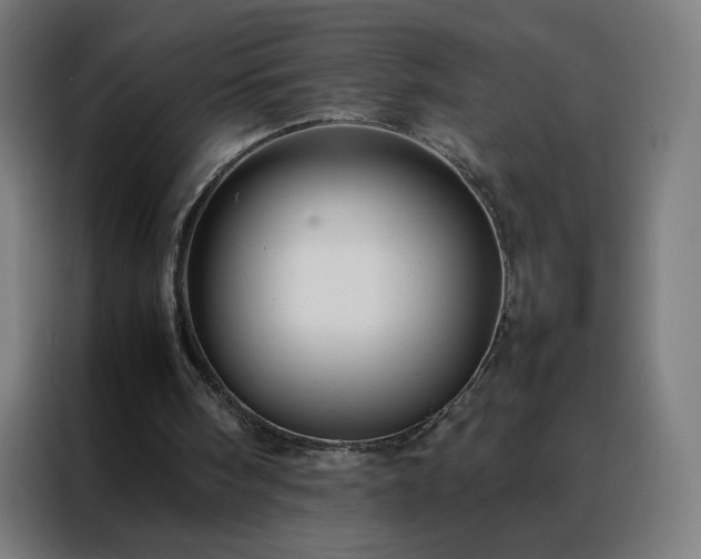 X0000088170098200705221630