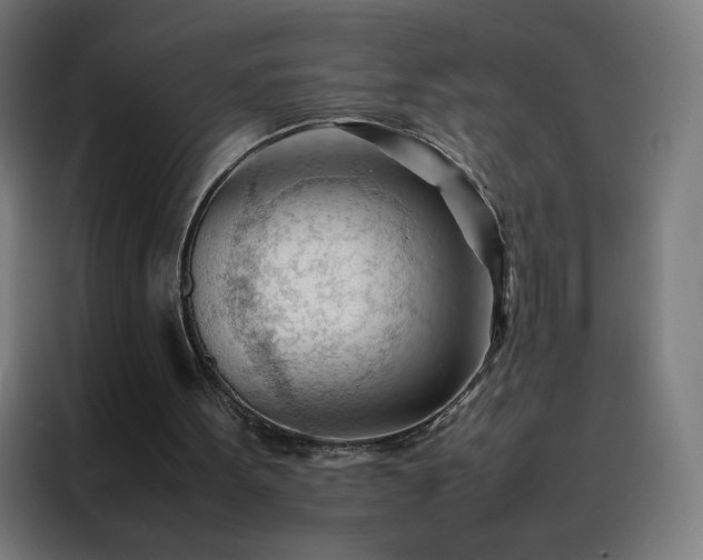 X0000088170099200705221630