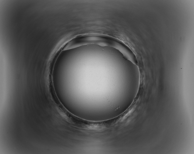 X0000088170101200705221630