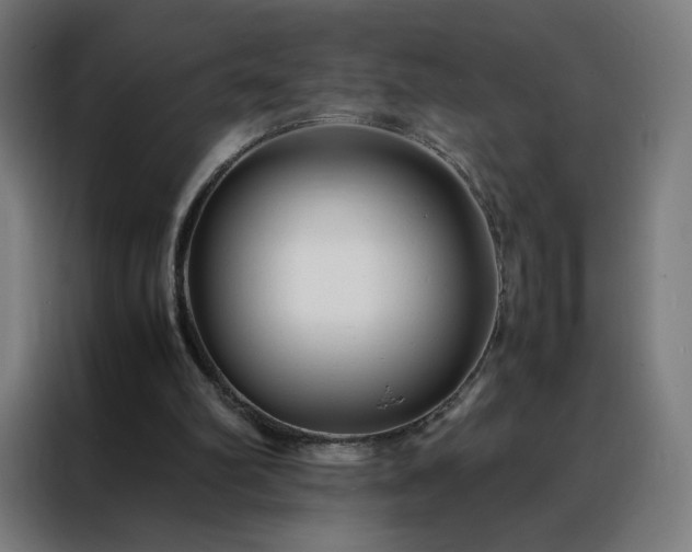 X0000088170102200705221630