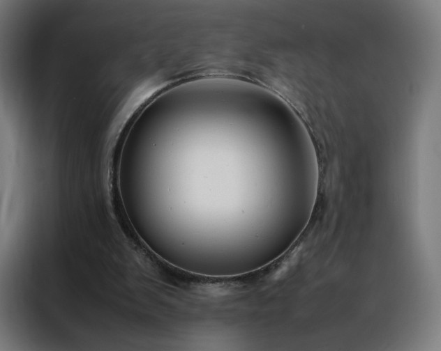 X0000088170103200705221630