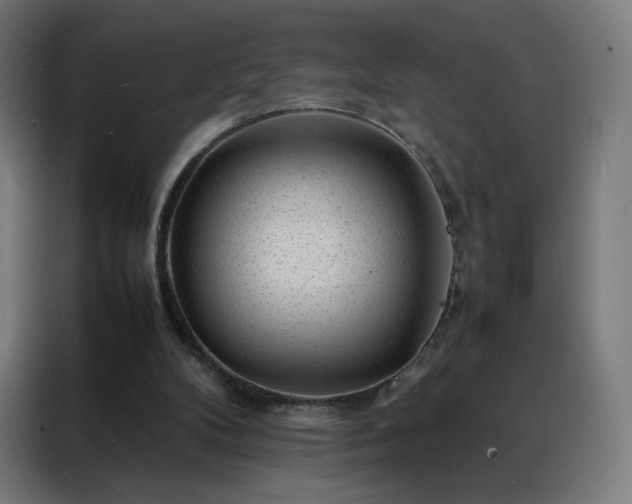 X0000088170104200705221630