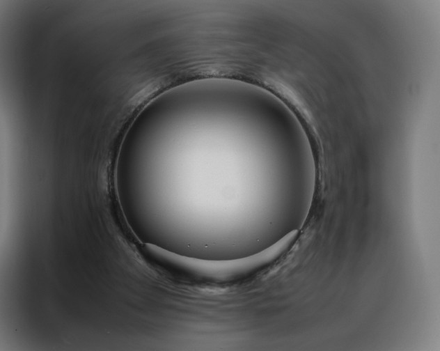 X0000088170105200705221630