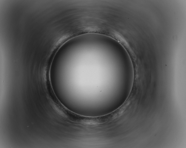 X0000088170106200705221630