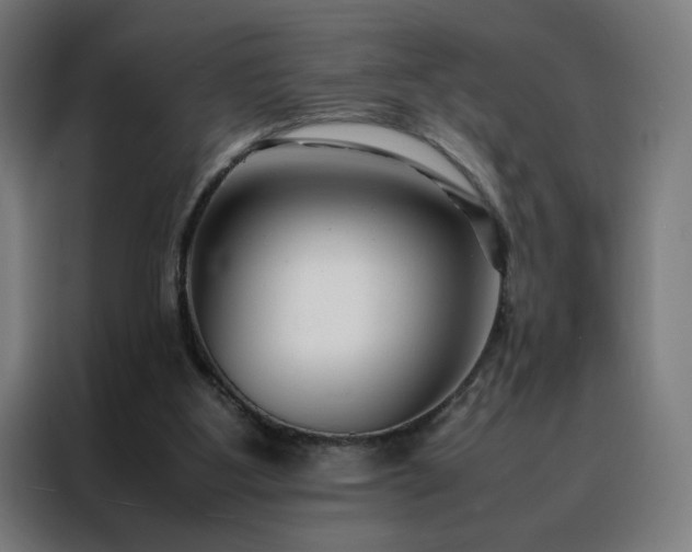 X0000088170107200705221630