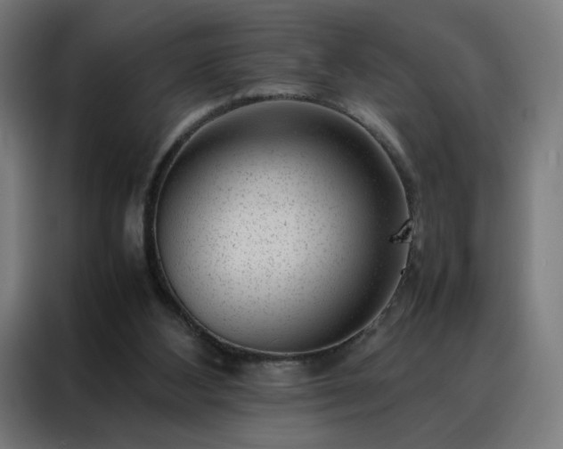 X0000088170108200705221630