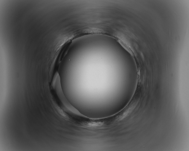 X0000088170109200705221630