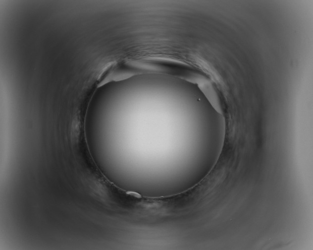 X0000088170113200705221630