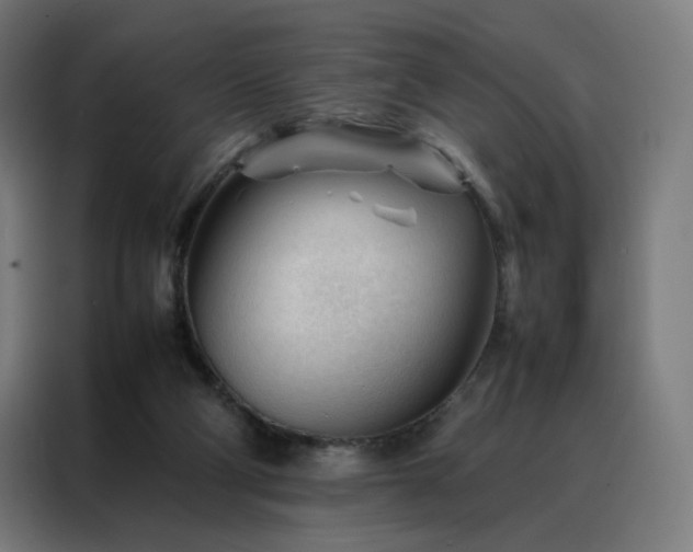 X0000088170114200705221630