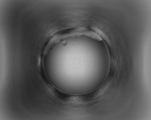 X0000088170117200705221630