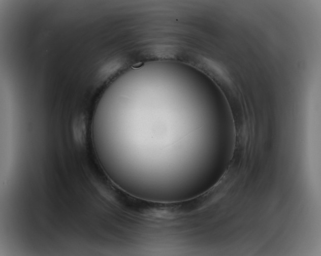 X0000088170120200705221630