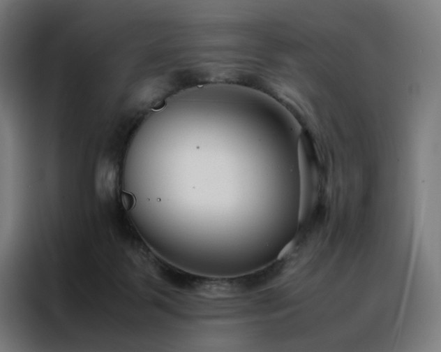 X0000088170123200705221630