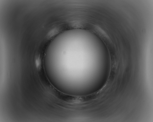 X0000088170124200705221630