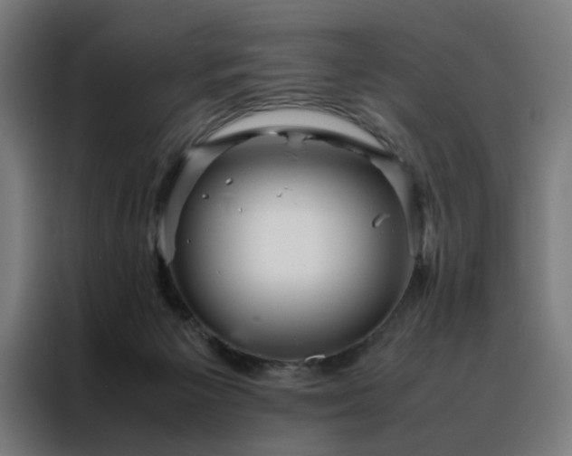 X0000088170125200705221630