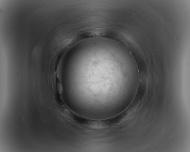 X0000088170127200705221630