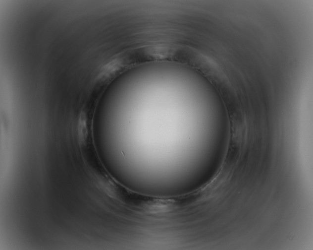 X0000088170128200705221630