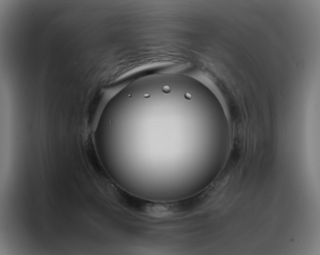 X0000088170129200705221630