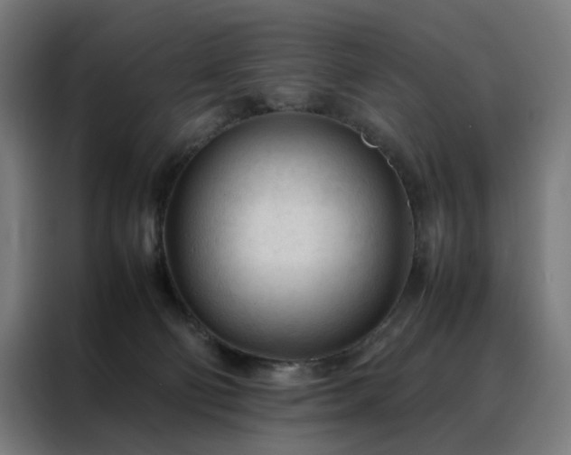 X0000088170130200705221630