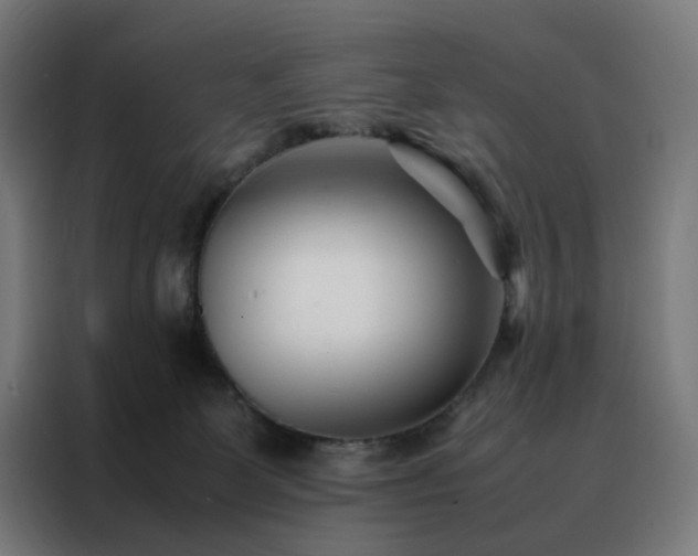 X0000088170131200705221630