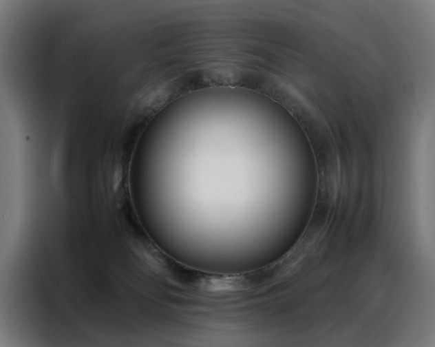 X0000088170134200705221629