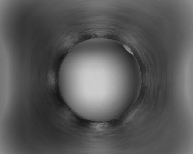 X0000088170135200705221629