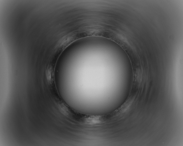 X0000088170138200705221629