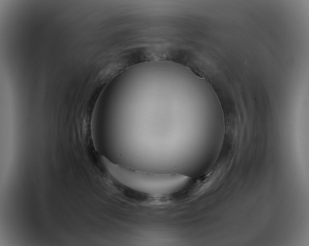 X0000088170139200705221629