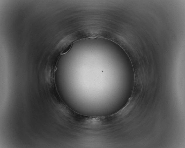 X0000088170140200705221629