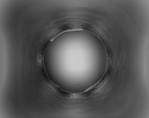 X0000088170141200705221629