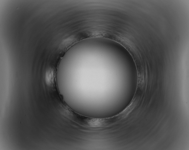 X0000088170142200705221629