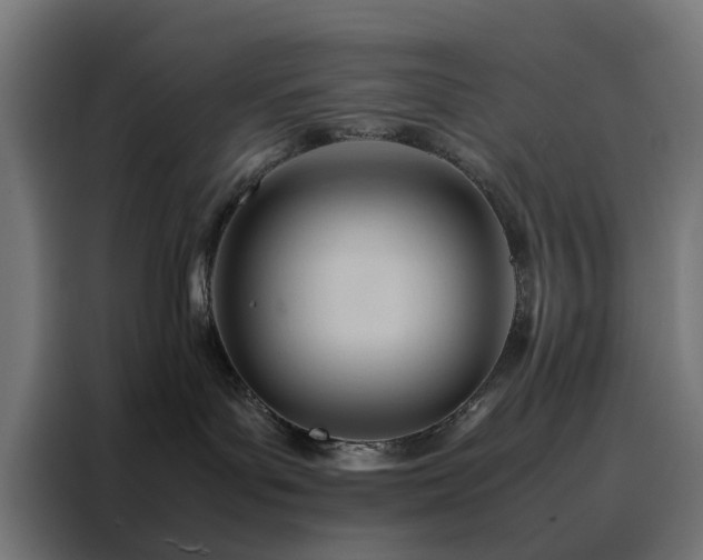 X0000088170143200705221629