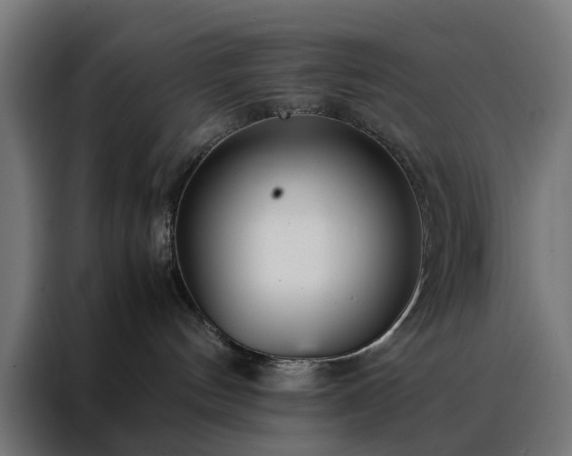 X0000088170144200705221629