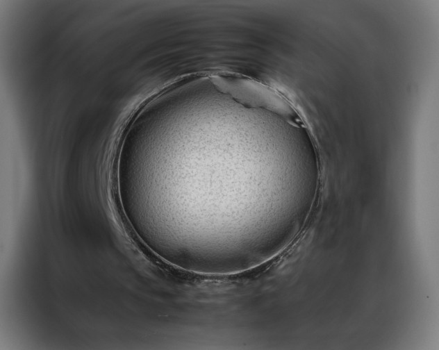 X0000088170145200705221629